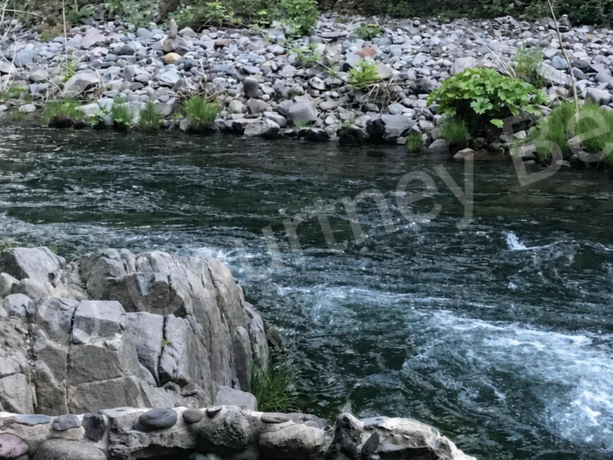 Courtney Bee — river in the forest A forest river and stone-lined hot spring photographed by Courtney Bee