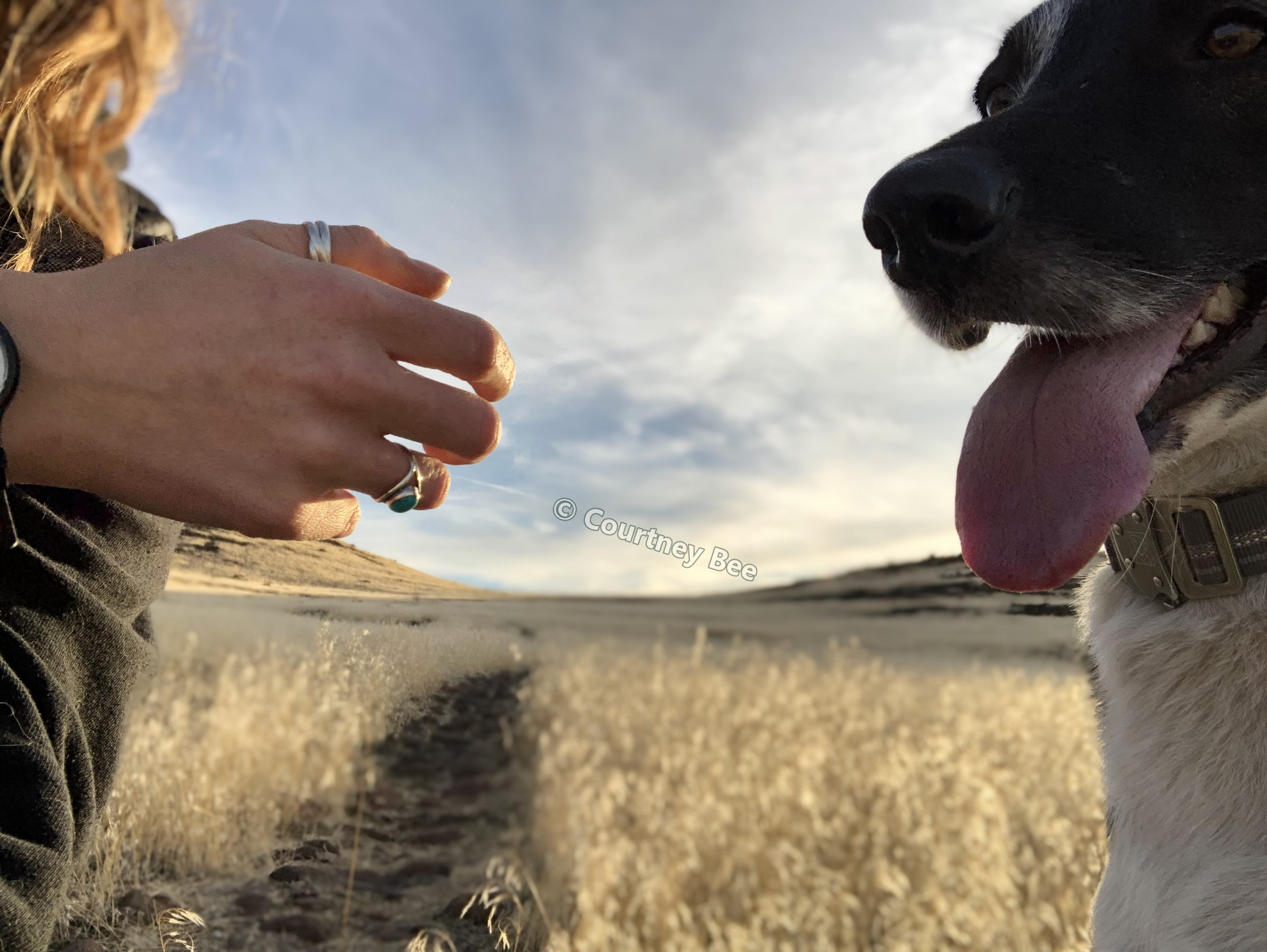 Courtney Bee and Booch sharing a sunny moment outdoors
